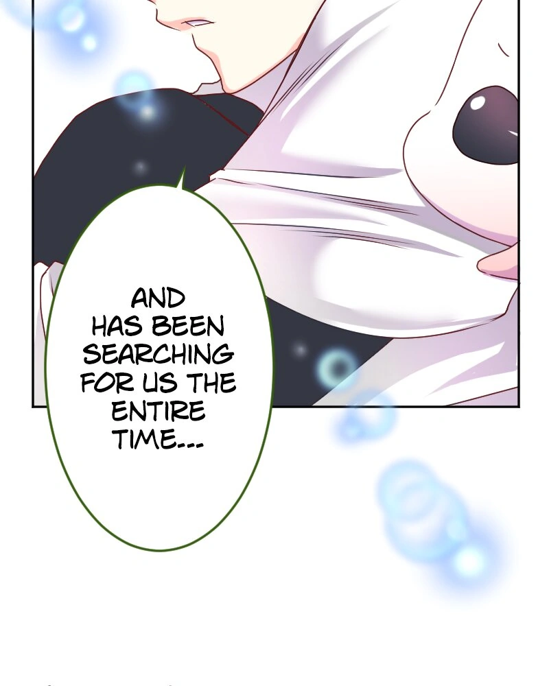 67361904 800 1000 64686